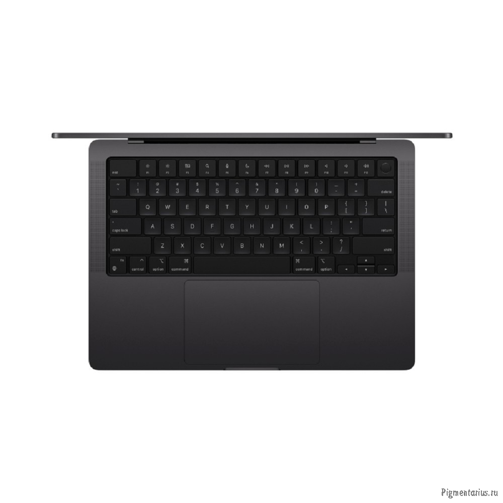 Apple MacBook Pro 14-inch 2024 [MX2H3LL/A] (КЛАВ.РУС.ГРАВ.) Space Black 14.2" Liquid Retina XDR {(30