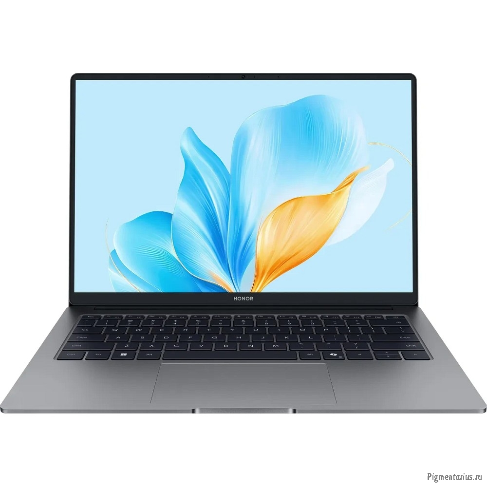 Ноутбук Honor MagicBook X14 FRG-X [5301ALWG] grey 14"
