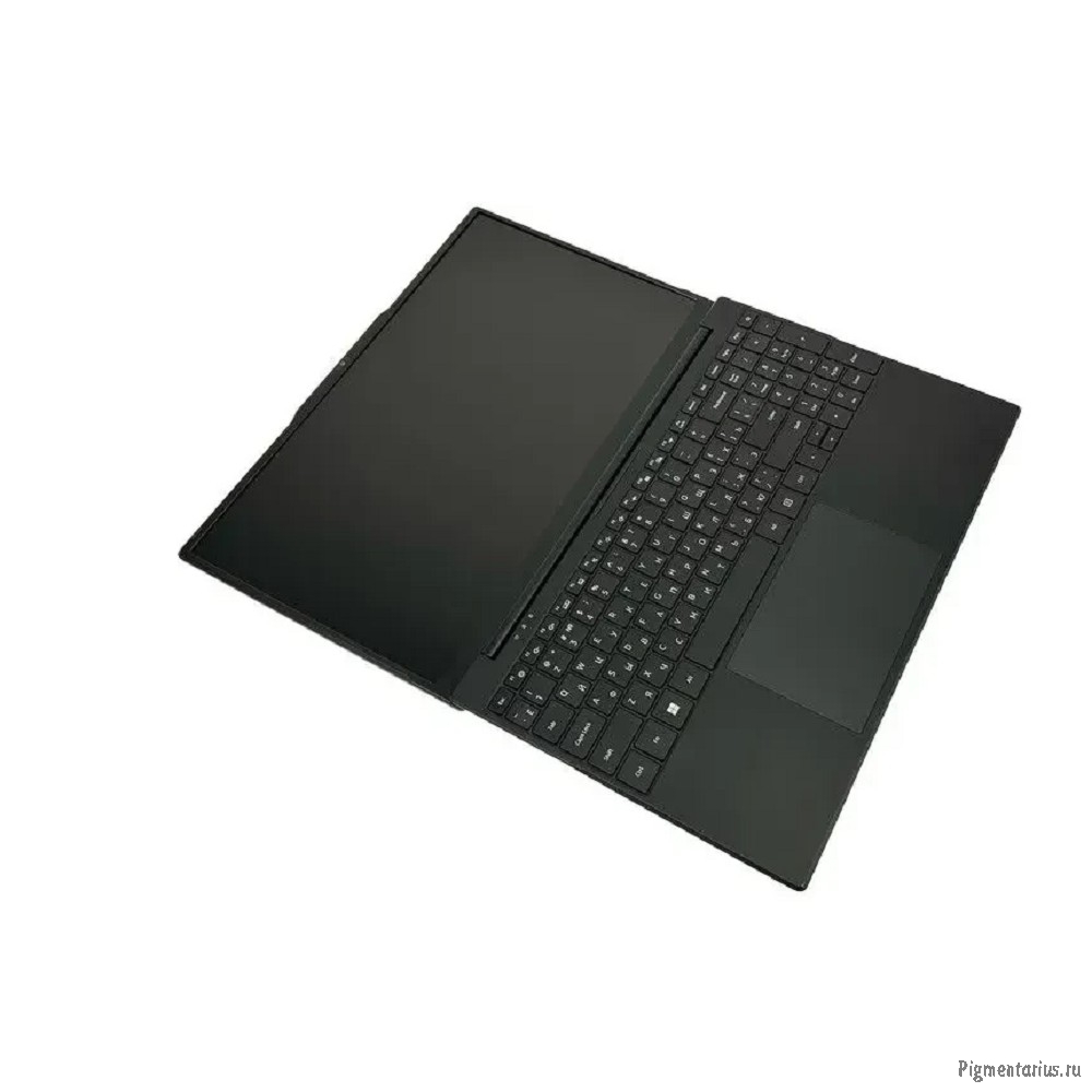 Ноутбук Hiper Workbook I151 [FWBC151-I512HR16N5FABWPG] Black 15.6"