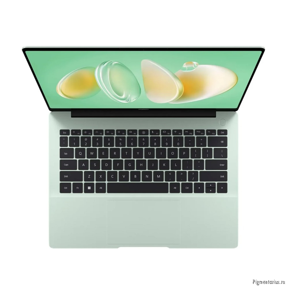Ноутбук Huawei MateBook 14 FLMH-X FlemingH-W5651T [53014MFP] Green 14"