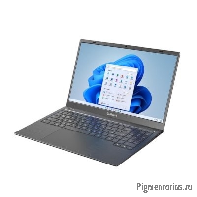 IRBIS [15NBC1014] Grey/Black 15.6" {FHD Cel N5095/8GB/256GB SSD/W11Pro}
