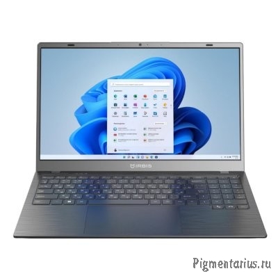 IRBIS [15NBC1014] Grey/Black 15.6" {FHD Cel N5095/8GB/256GB SSD/W11Pro}