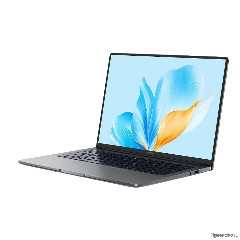 Honor MagicBook X14 FRG-X [5301ALWJ] Grey 14" {WUXGA i5-13420H/16GB/1TB SSD/W11}