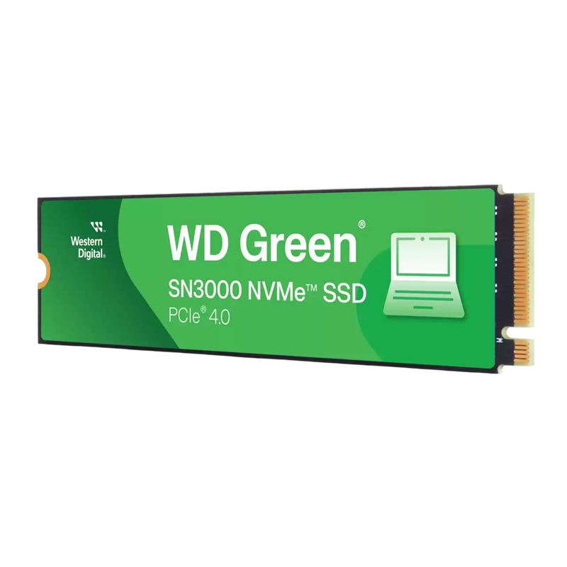 WD WDS100T4G0E