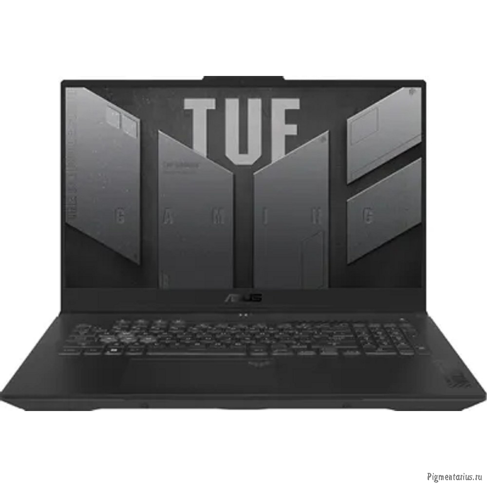Игровой ноутбук ASUS TUF Gaming FA707NUQ-HX010 [90NR0QH5-M000D0] Grey 17.3"