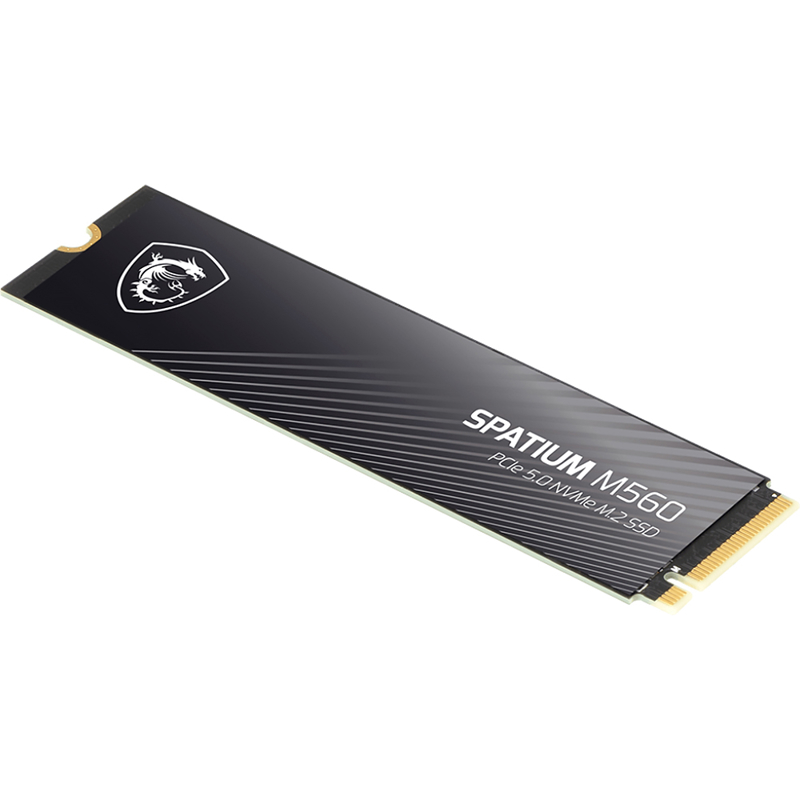 MSI SPATIUM M560 (S78-440Q940-P83)