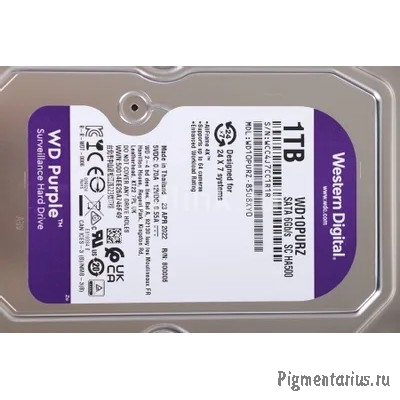 Жесткий диск WD Purple (WD11PURZ) 1TB {Serial ATA III, 5400- rpm, 64Mb, 3.5"}