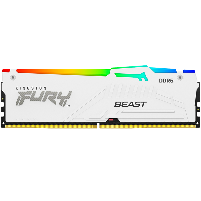 Kingston FURY Beast KF556C36BWEA-16