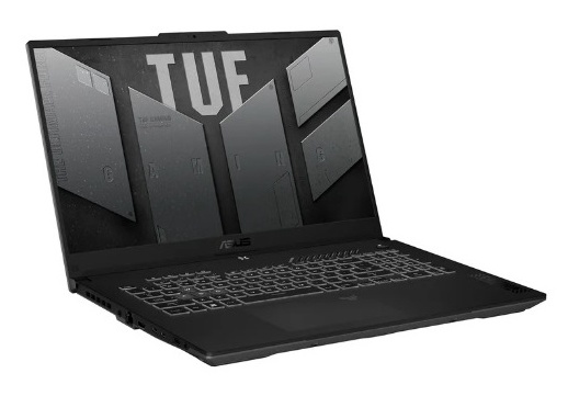 Игровой ноутбук ASUS TUF F17 FX707VJB-HX100 (90NR0MY5-M003R0) 17.3"