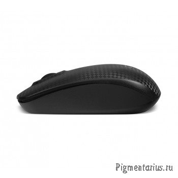 CBR CM 499 Carbon, Мышь беспроводная, оптическая, 2,4 ГГц, 1200 dpi, 3 кнопки и колесо прокрутки, AB