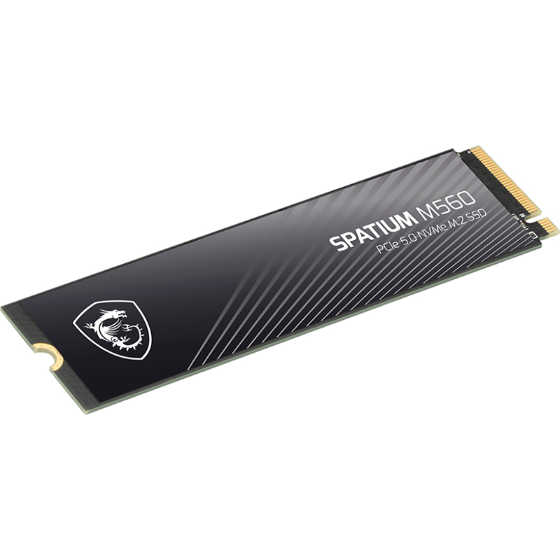 MSI SPATIUM M560 (S78-440Q940-P83)