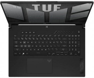 Игровой ноутбук ASUS TUF F17 FX707VJB-HX100 (90NR0MY5-M003R0) 17.3"
