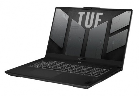 Игровой ноутбук ASUS TUF F17 FX707VJB-HX100 (90NR0MY5-M003R0) 17.3"