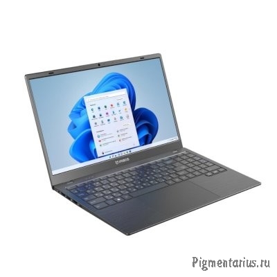 IRBIS [15NBC1014] Grey/Black 15.6" {FHD Cel N5095/8GB/256GB SSD/W11Pro}